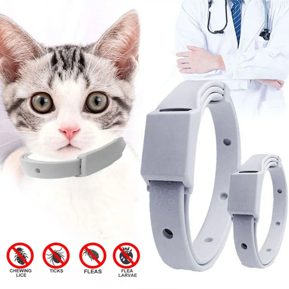 Anti Flea Collar